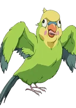 インコちゃん