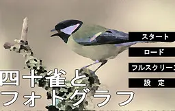 四十雀与照片