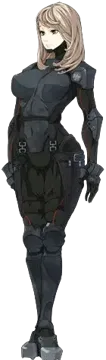 楠枫