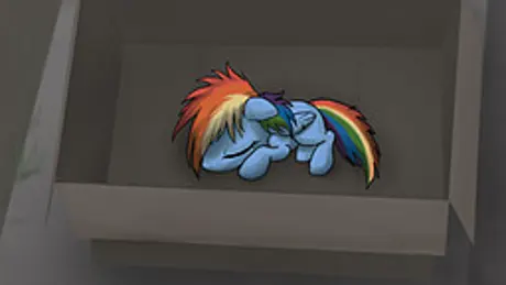 My Little Dashie
