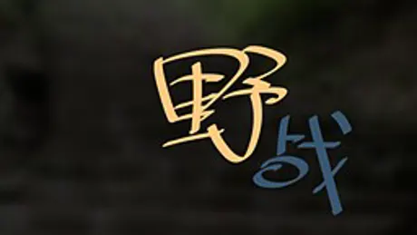 野战