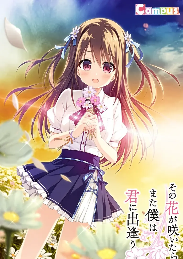 此花绽放季，与君重逢时