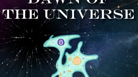 Dawn of the Universe