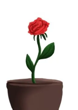 Rose