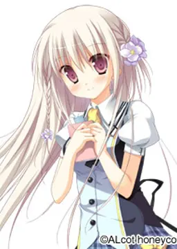 神ノ木汐