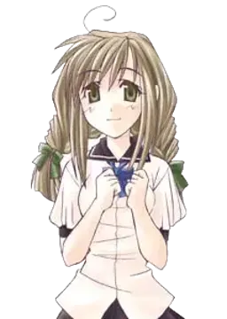 白菊 桜花