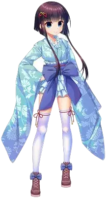 月白菊花