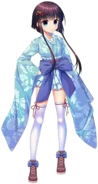 月白菊花